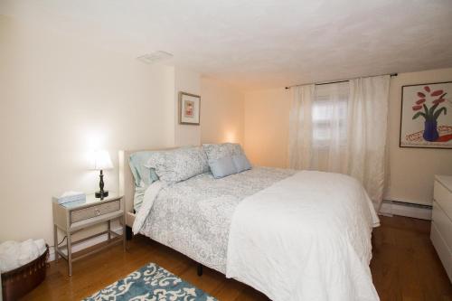 Great 1 Bedroom Apartment Longwood MBTA Boston Fenway Jamaica Pond - thumb 5