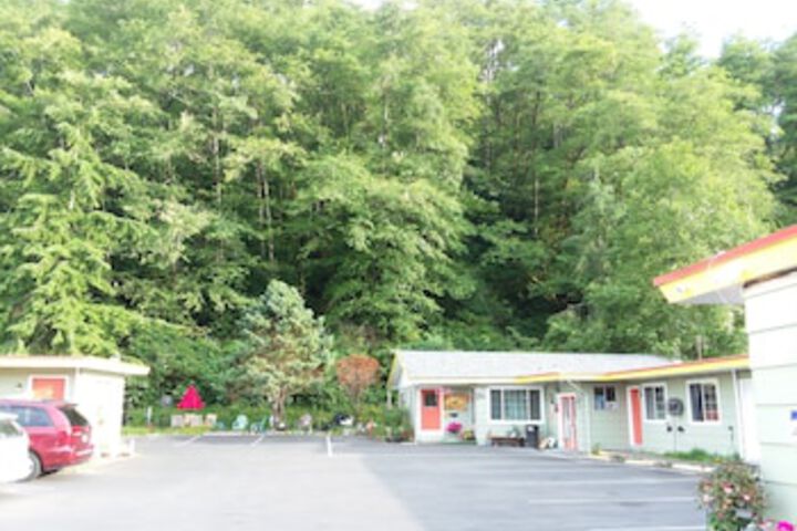 Shiny Motel - thumb 0