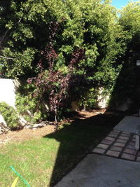 Redondo Beach / Hermosa Beach