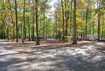Appalachian Campsites - thumb 2