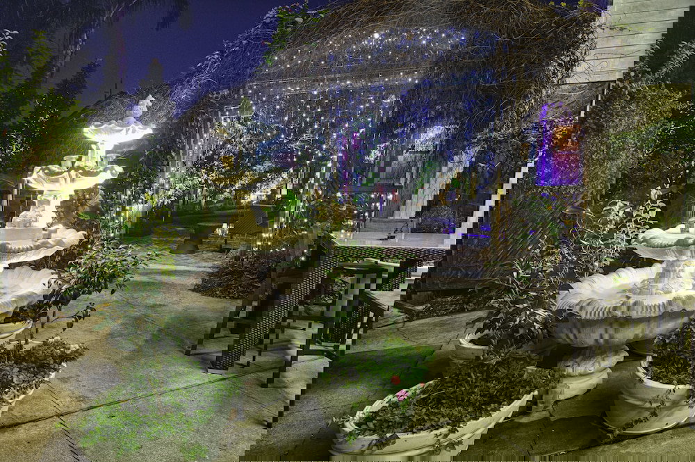 5 BR. Newly Renovated Next To French QT - thumb 4