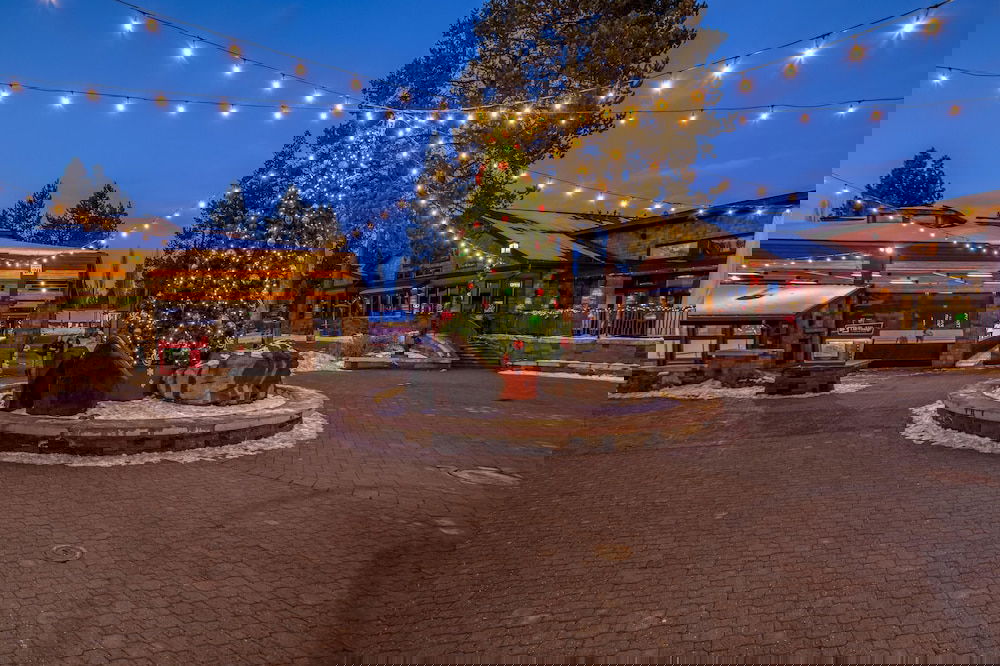 Quail Lane 11 - thumb 1