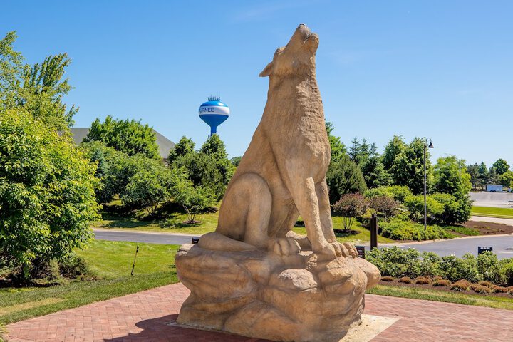 Great Wolf Lodge Illinois - thumb 2