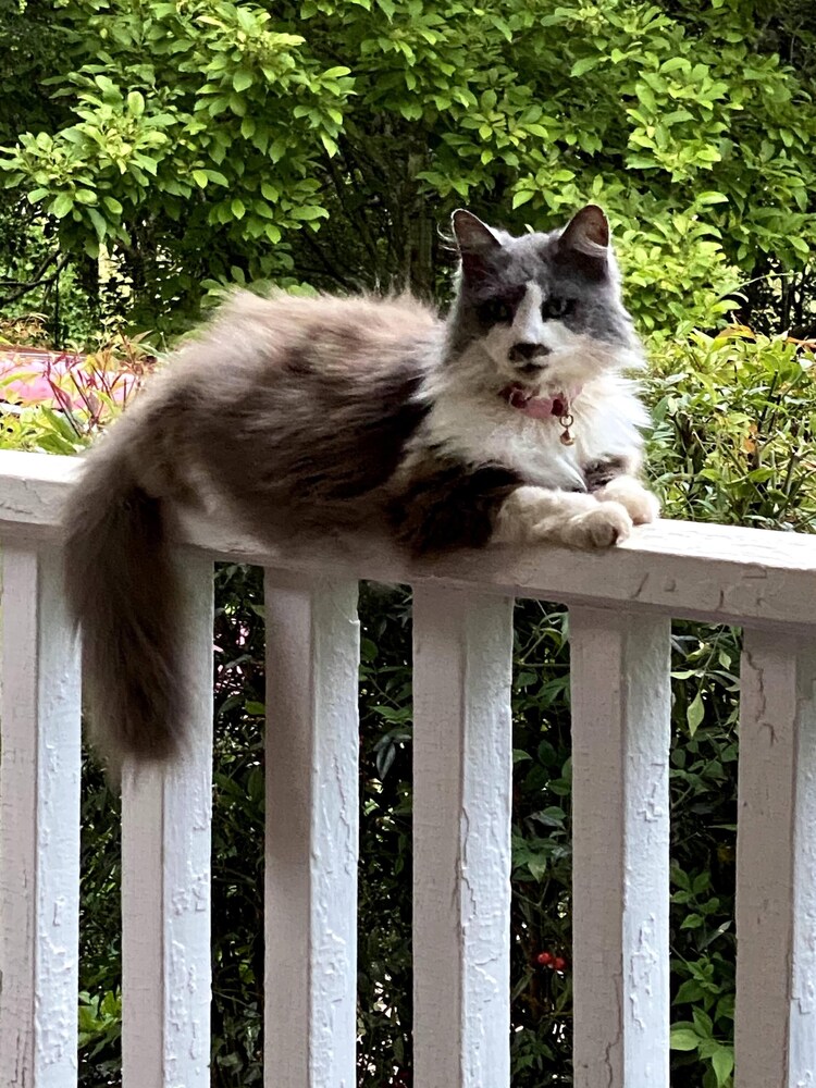 Whole Hearts Bed And Breakfast - thumb 1