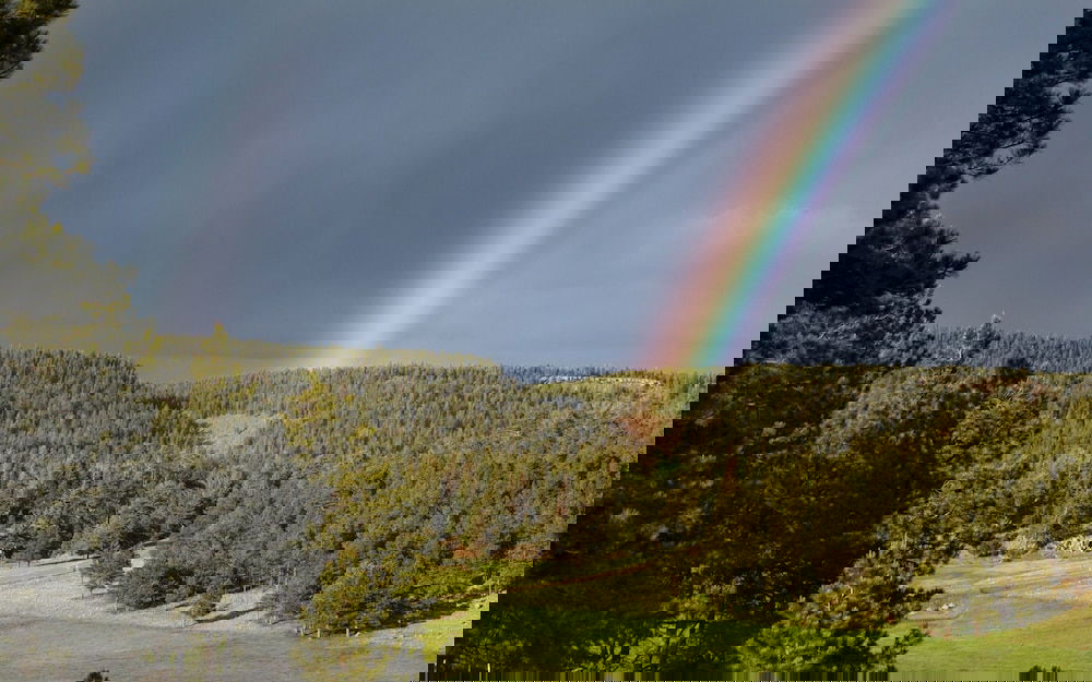 Alpine Gardens - thumb 2