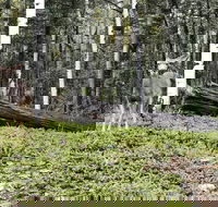 Alpine Gardens - Tourism Bookings