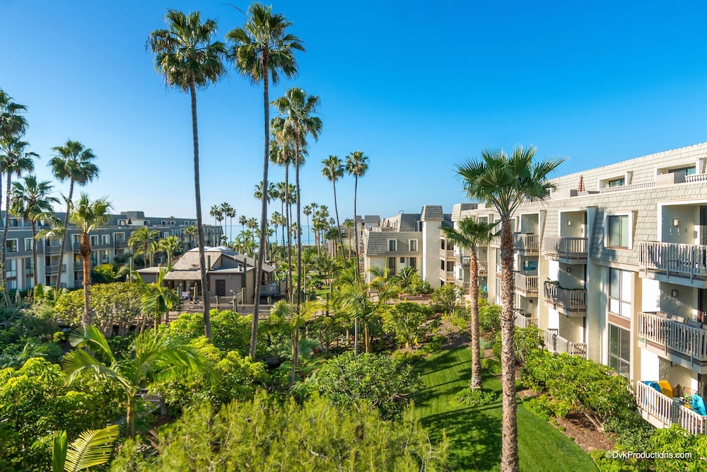 Pacific Palms - thumb 1