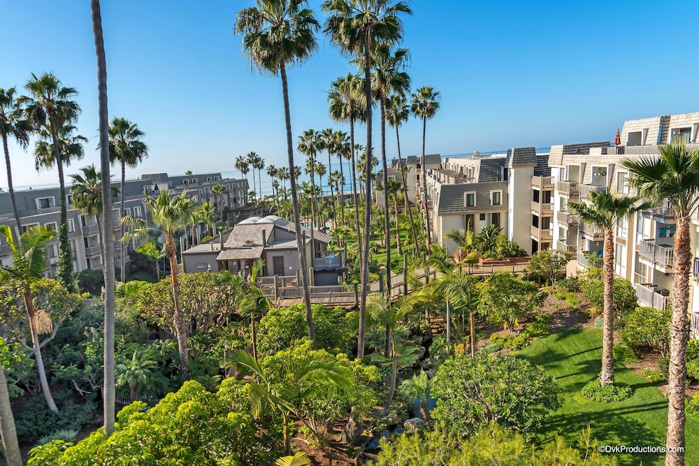 Pacific Palms - thumb 3