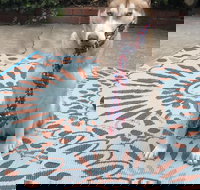 Life is Good Bed and Breakfast - USA Accommodation