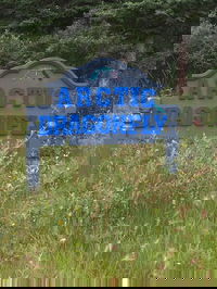 Arctic Dragonfly Inn