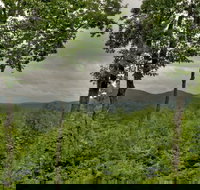 Treasure In The Trees - Tourism Bookings