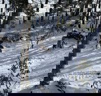 Unforgettable Dreams - Tourism Bookings