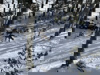 Unforgettable Dreams