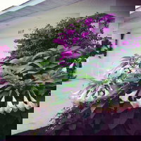 Agate Home South Gulf Cove