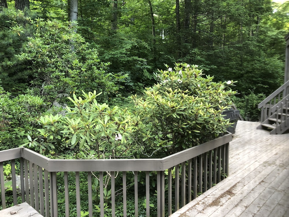 IMMUTECH East Coast Elite Vacation House - thumb 6