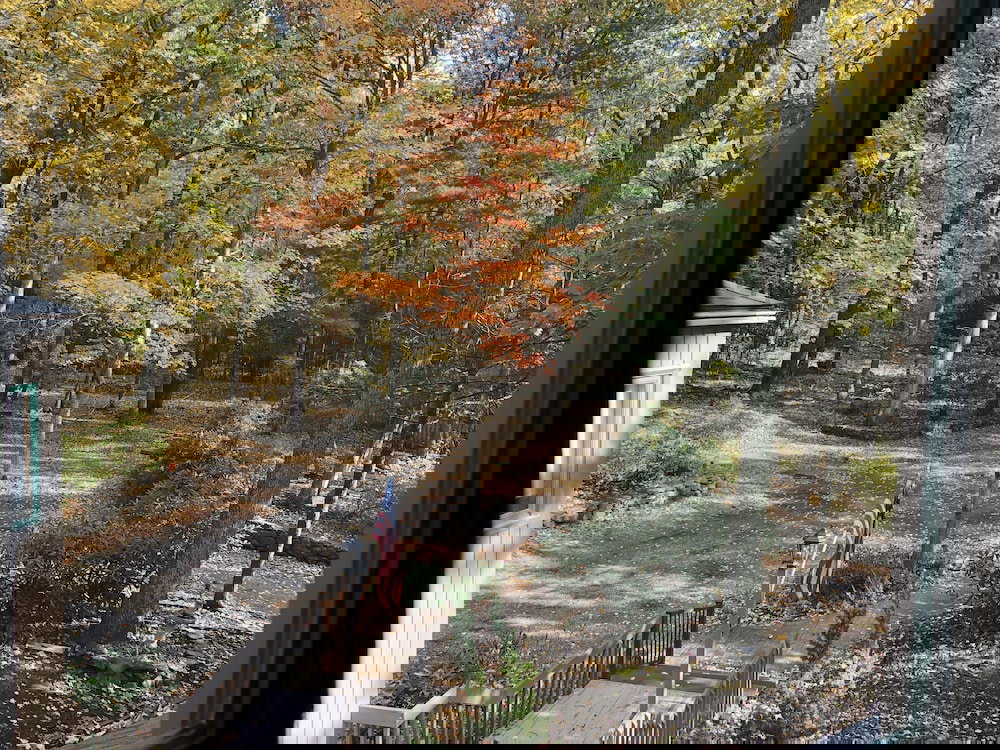 IMMUTECH East Coast Elite Vacation House - thumb 2