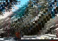Alder Place by Lake Tahoe Accommodations