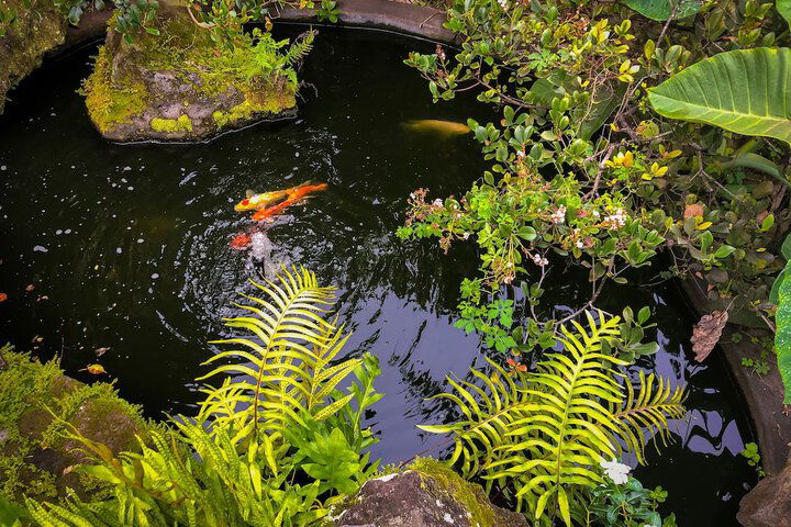 Gingerhill Farm Retreat - thumb 7