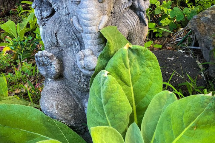 Gingerhill Farm Retreat - thumb 1