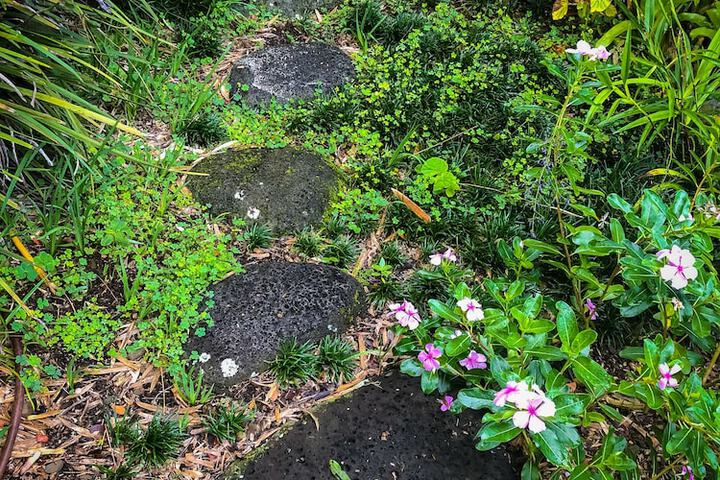 Gingerhill Farm Retreat - thumb 5