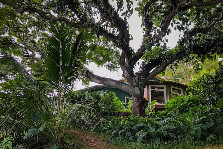 Gingerhill Farm Retreat - thumb 6