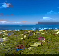 021 Lost Shaker of Salt - Tourism Bookings