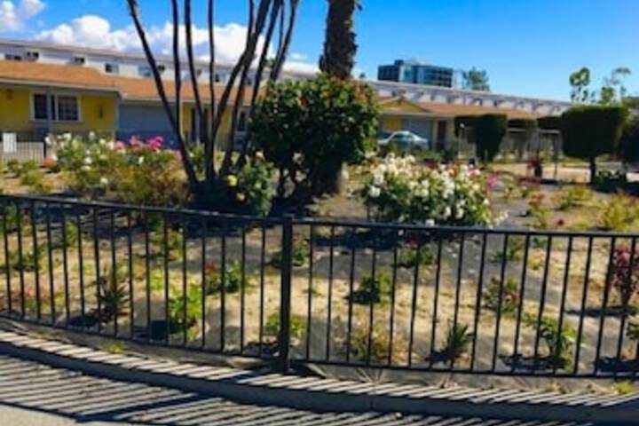 Sunshine Village Motel - thumb 1