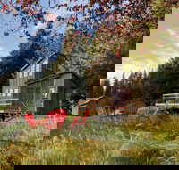 Clydesdale Outpost - Tourism Bookings