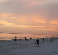 5583 Estero Blvd Iguana Mama's Beach House - Tourism Bookings