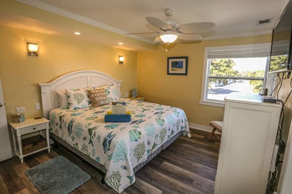 2518 Estero - thumb 2