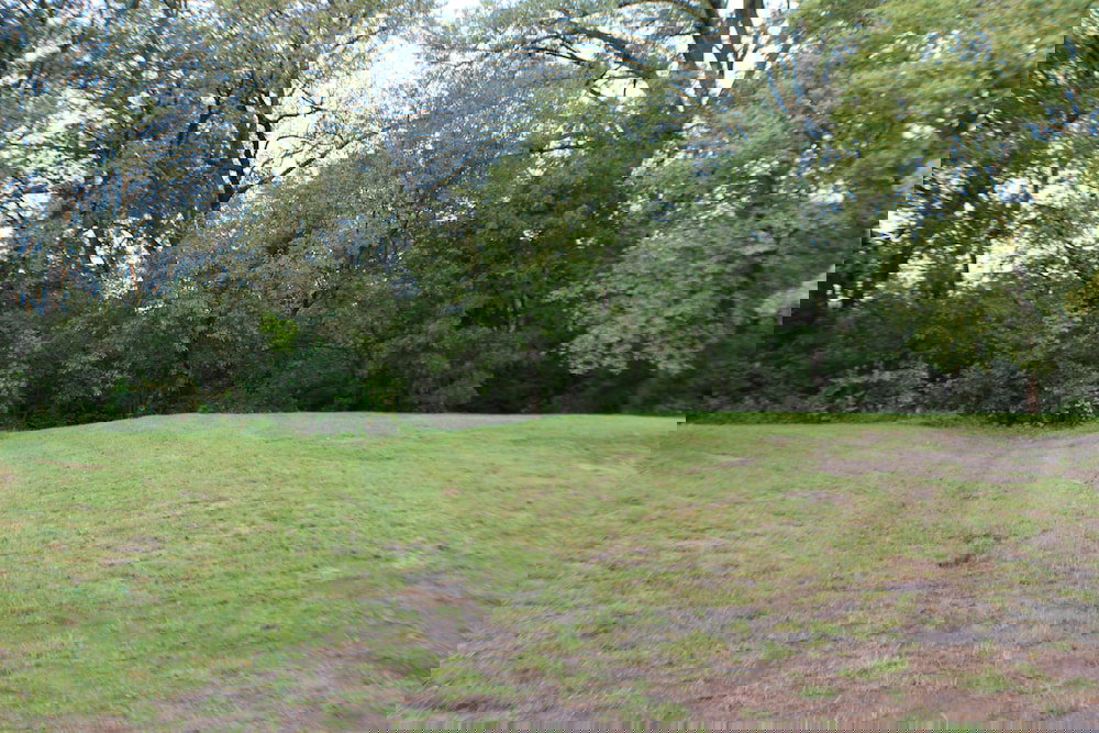 Trailhead Suites - thumb 0