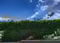 The Sol Lesser Estate