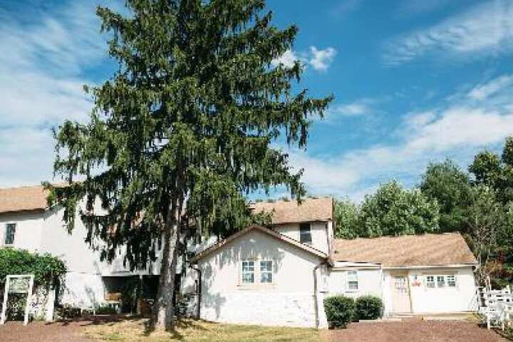 Ash Mill Farm Bed & Breakfast - thumb 5