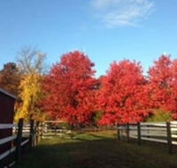 Flint Hill Farm AG - Tourism Bookings