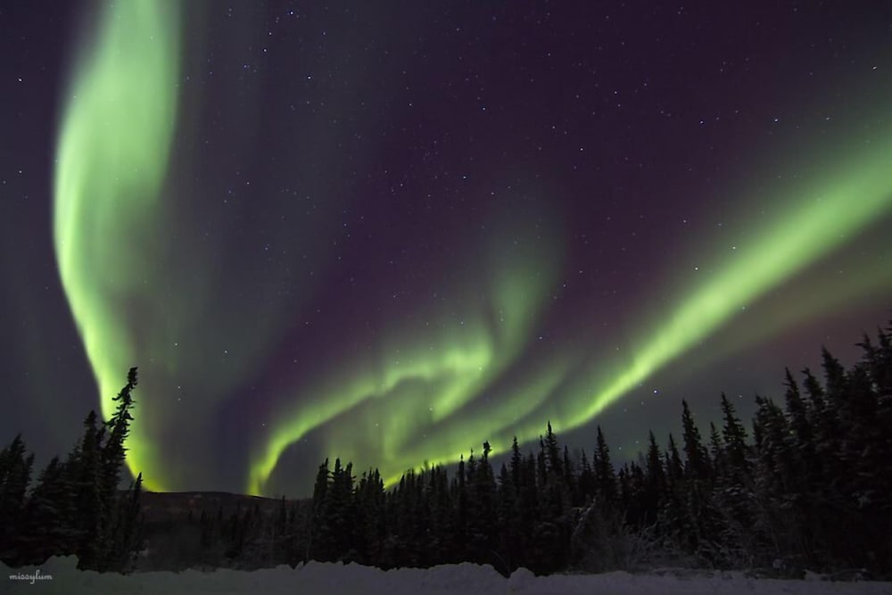 Alaska Haven - thumb 3