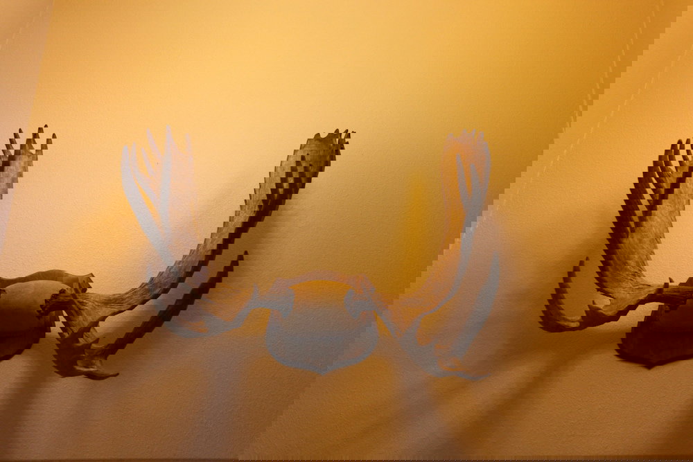 Alaska Haven - thumb 1