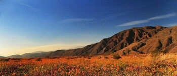 De Anza Golf Course Cottage 1 Br Home By RedAwning - thumb 1