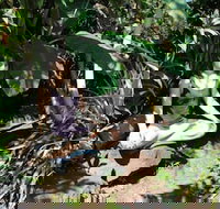 Cinderland EcoVillage - Tourism Bookings