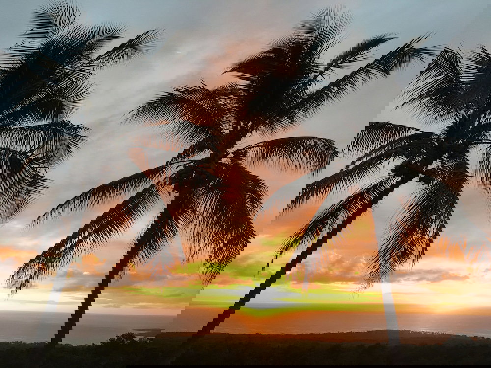 Kona Bayview Inn - thumb 4