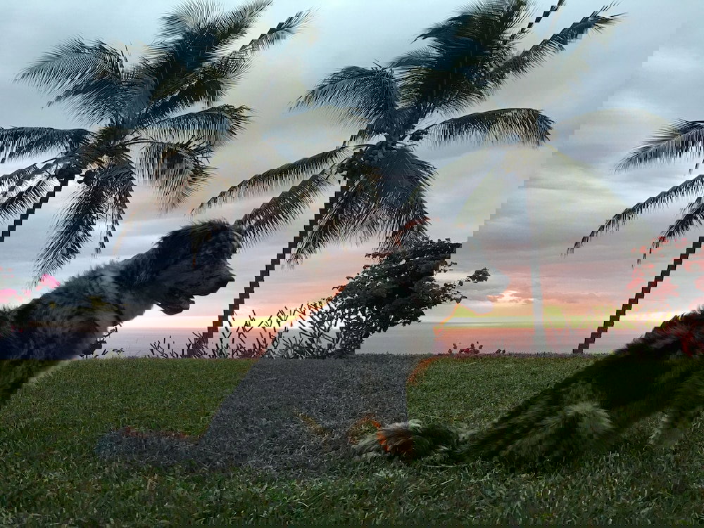 Kona Bayview Inn - thumb 1