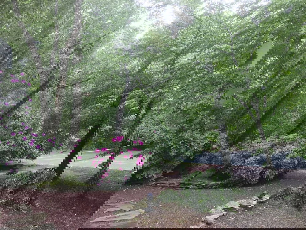 Villa Machis - thumb 0