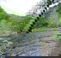 River Time Cabin - USA Accommodation