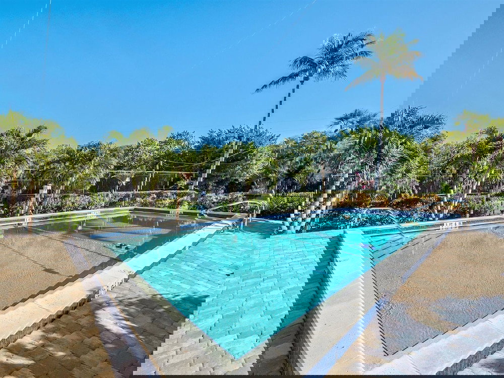 Seas The Day - thumb 5