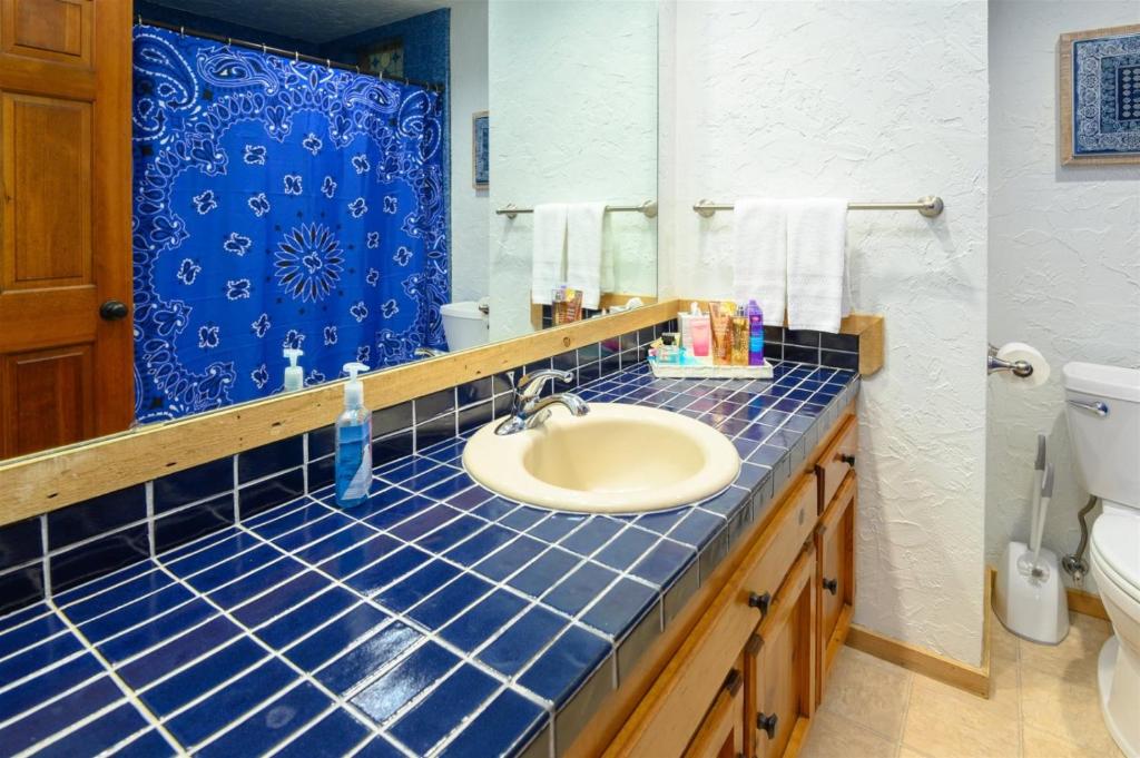 Buggy Whip - thumb 6