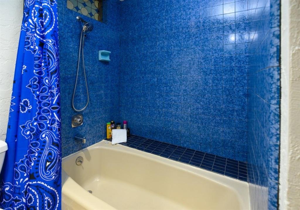 Buggy Whip - thumb 3