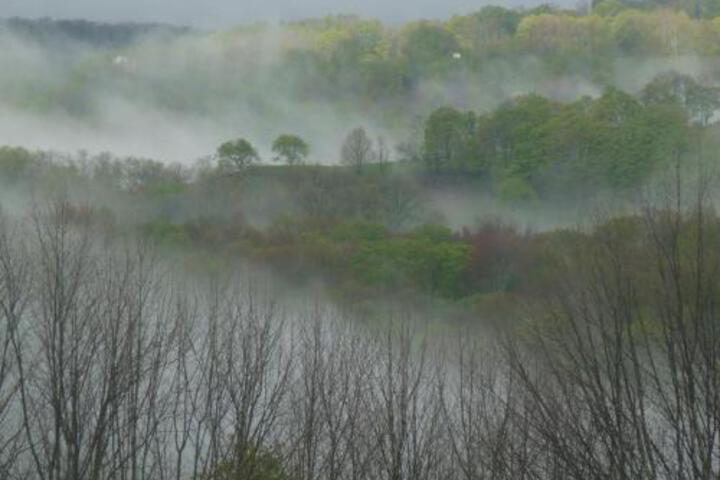 Tentrr Mountain Bliss Campsite - thumb 5