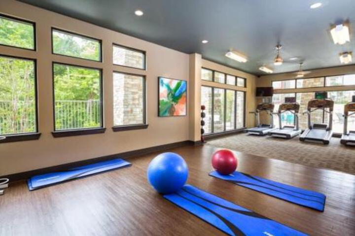 Texas Corporate Housing Solutions Professional Apt - thumb 6