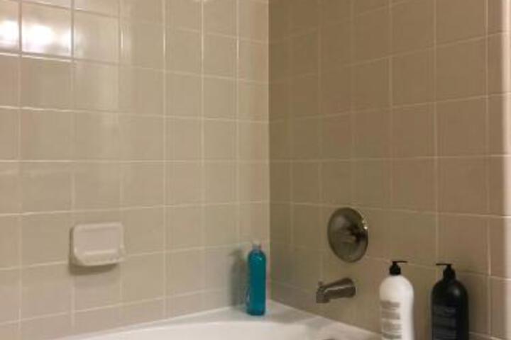 Texas Corporate Housing Solutions Professional Apt - thumb 3