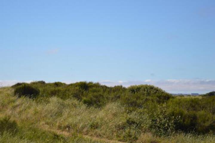 1023 Vacations By The Sea - thumb 5