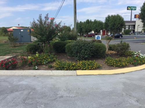 Exclusive Quarters - thumb 5